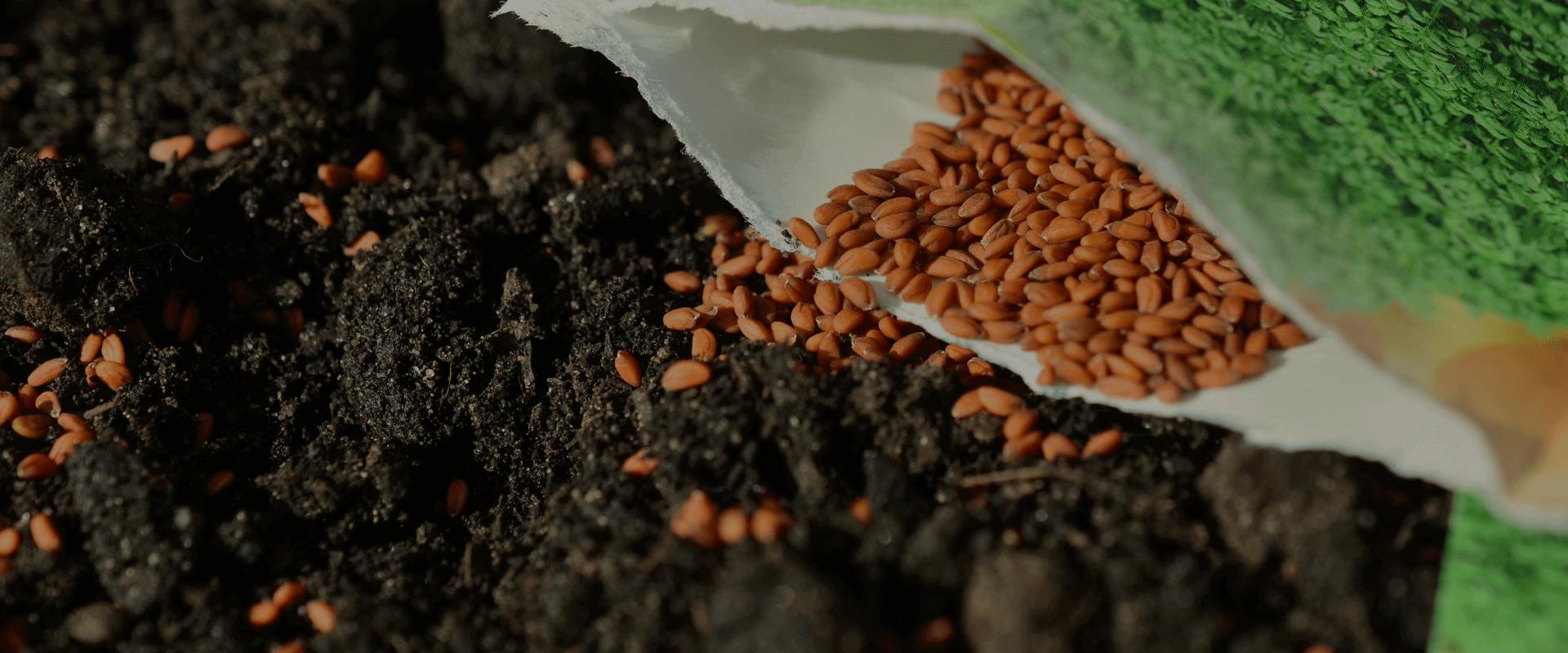 Fertilizers and Seeds